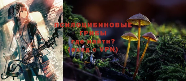 ГАЛЛЮЦИНОГЕННЫЕ ГРИБЫ Елизово