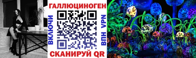 Купить закладки  Томмот  Галлюциногенные грибы мицелий 